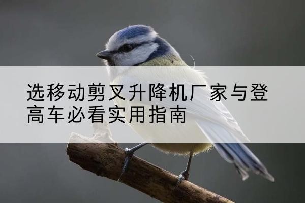 阿拉尔电动升降机厂家-选移动剪叉升降机厂家与登高车必看实用指南