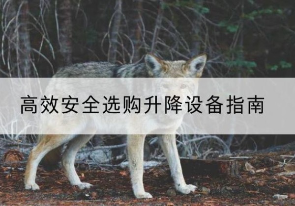阿拉尔升降货梯厂家推荐-*安全选购升降设备指南