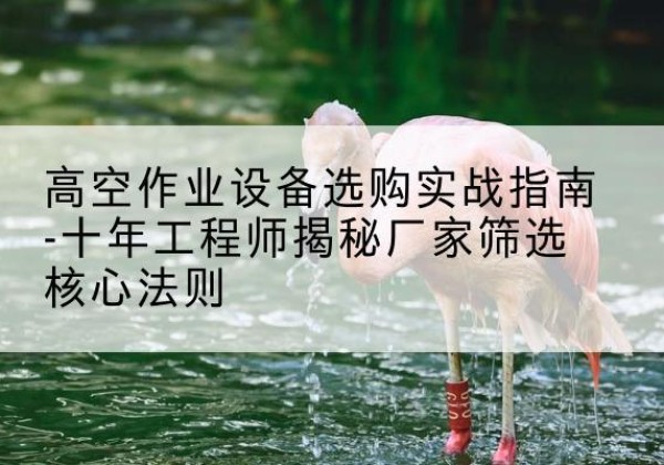 阿拉尔剪叉式升降机厂家-高空作业设备选购实战指南-十年工程师揭秘厂家筛选核心法则